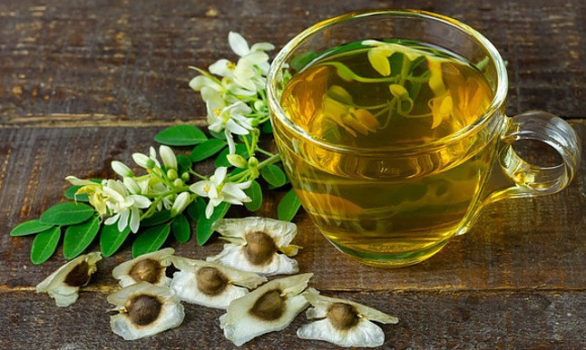 Moringa Oleifera-Organic Tea Healing