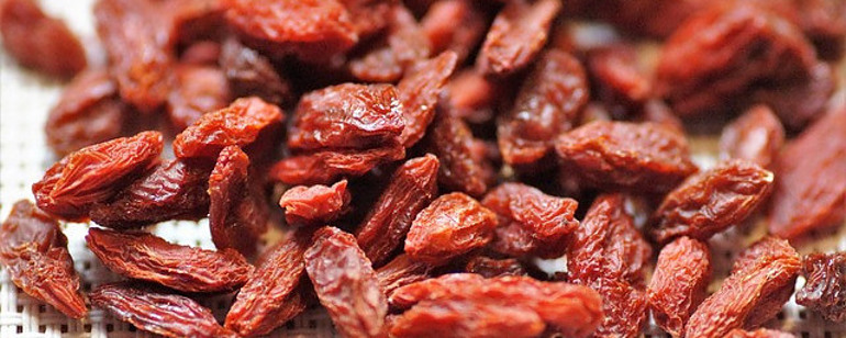 Goji Berry - Organic tea Healing