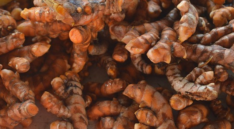 Roots of Turmeric - Organic Tea healing