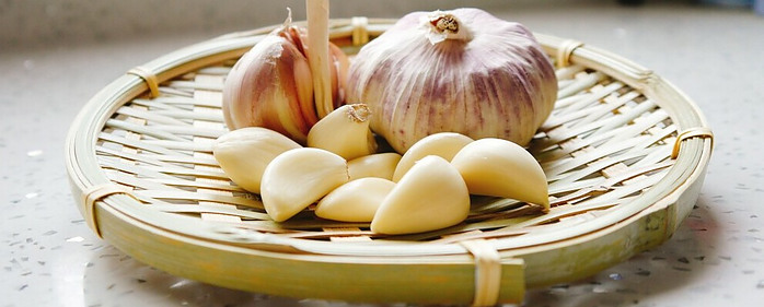 Garlic