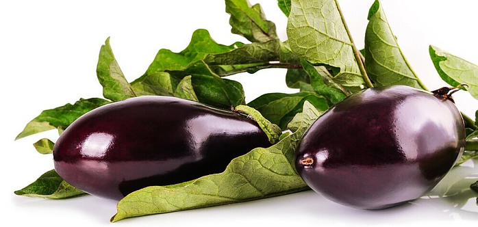 Eggplant - Organic Tea Healing