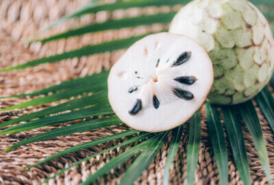 Cherimoya- Organic Tea Healing
