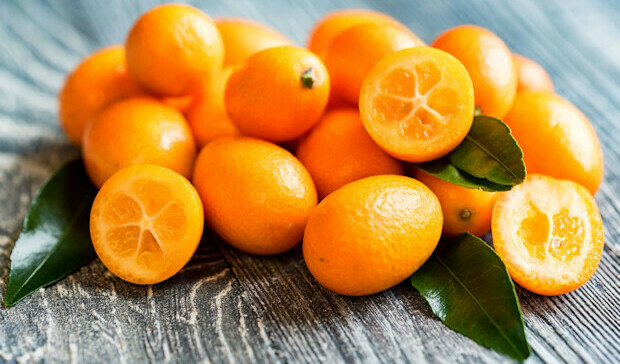 Organic Kumquat:- Organic Tea Healing
