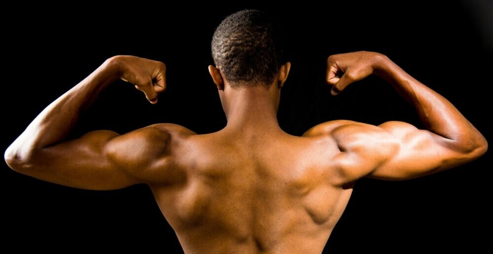  Supplement To Build Muscle- Organic Houses